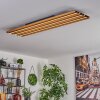 Favorina Deckenpanel LED Naturfarben, Schwarz, 1-flammig