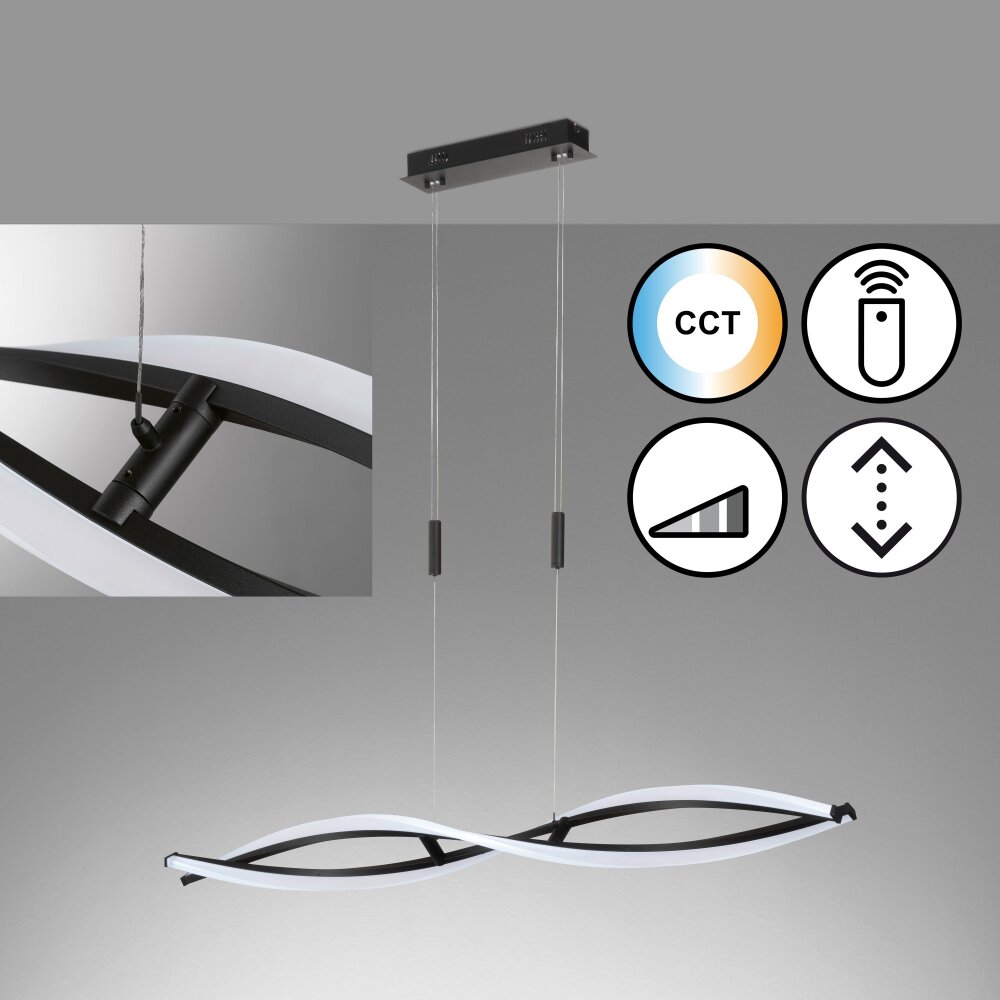 Fischer & Honsel Torcido Pendelleuchte LED Schwarz, 1-flammig, Fernbedienung main product photo