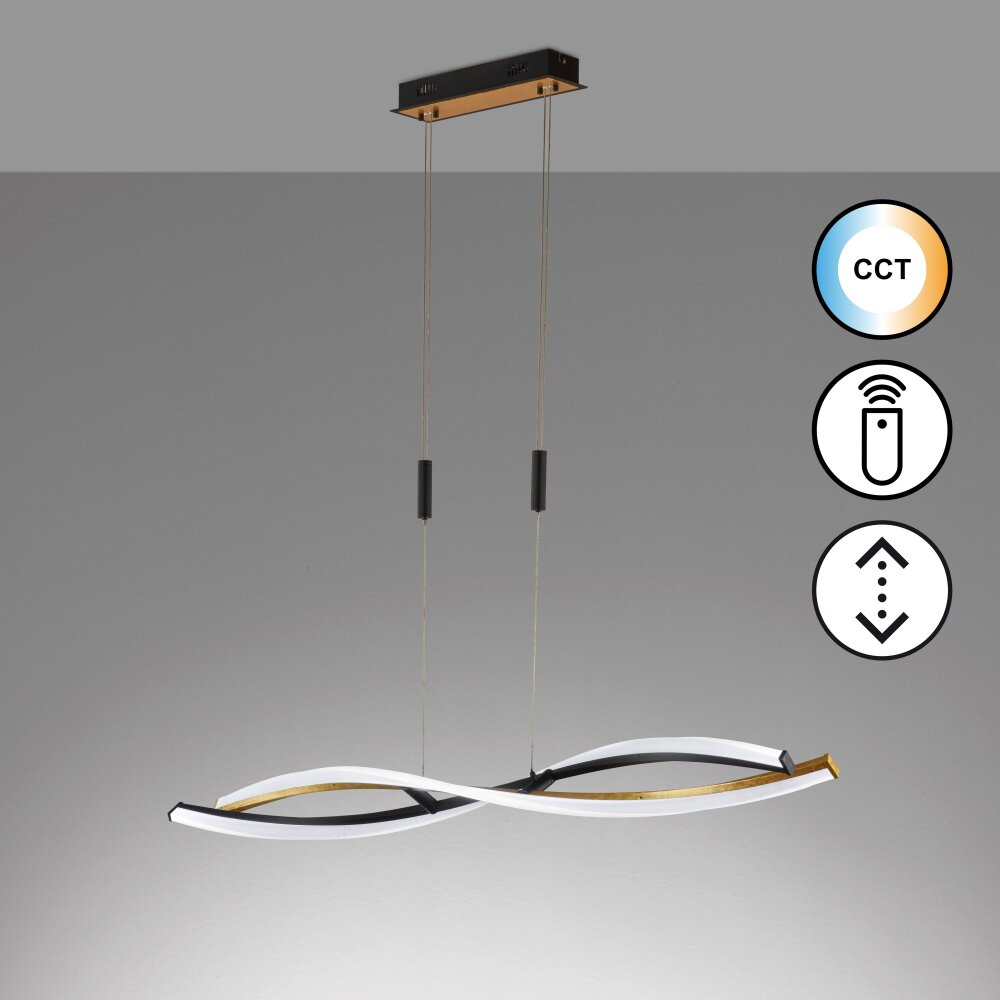 Fischer & Honsel Torcido Pendelleuchte LED Schwarz, 1-flammig, Fernbedienung main product photo