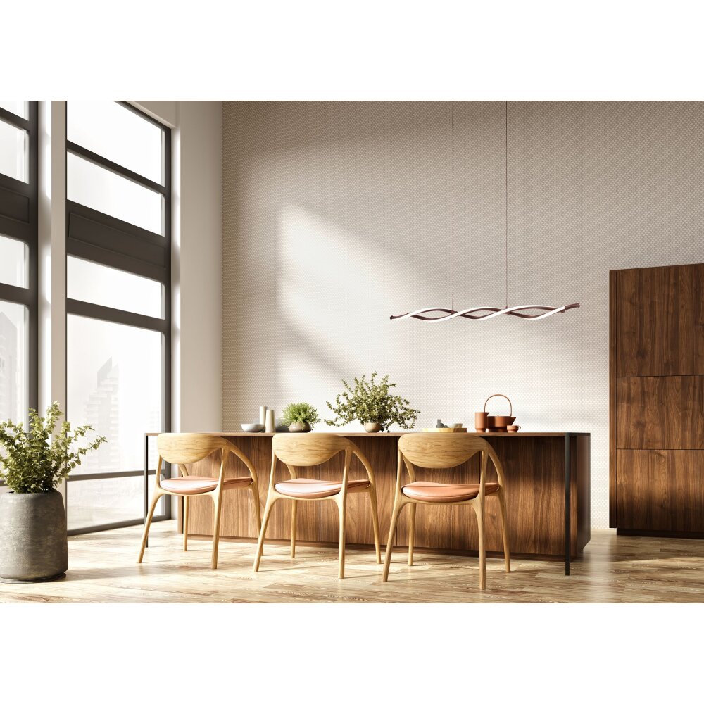 Fischer & Honsel Dreje Pendelleuchte LED Schwarz, 1-flammig main product photo