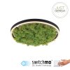 JUST LIGHT GERDA RITUS Deckenleuchte LED Schwarz, 1-flammig