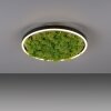 JUST LIGHT GERDA RITUS Deckenleuchte LED Schwarz, 1-flammig