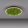 Leuchten Direkt GREEN RITUS Deckenleuchte LED Schwarz, 1-flammig