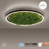 JUST LIGHT GERDA RITUS Deckenleuchte LED Schwarz, 1-flammig