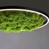 JUST LIGHT GERDA RITUS Deckenleuchte LED Schwarz, 1-flammig