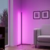 Reality LEVEL Stehleuchte LED Schwarz, 1-flammig, Fernbedienung, Farbwechsler