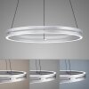 Paul Neuhaus PURE E-LOOP Pendelleuchte LED Silber, 2-flammig, Fernbedienung