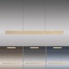 Paul Neuhaus PURE E-MOTION Pendelleuchte LED Gold, 1-flammig, Fernbedienung