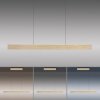 Paul Neuhaus PURE E-MOTION Pendelleuchte LED Gold, 1-flammig, Fernbedienung