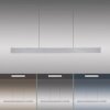 Paul Neuhaus PURE E-MOTION Pendelleuchte LED Silber, 1-flammig, Fernbedienung