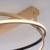 Paul Neuhaus Q-BELUGA Deckenleuchte LED Gold, 1-flammig, Fernbedienung