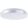 Brilliant Livius Deckenleuchte LED Silber, 1-flammig