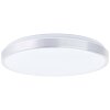 Brilliant Livius Deckenleuchte LED Silber, 1-flammig, Fernbedienung