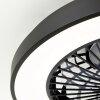 Brilliant Mazzaro Deckenventilator LED Schwarz, 1-flammig, Fernbedienung, Farbwechsler