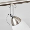 Holualoa Deckenleuchte LED Nickel-Matt, 4-flammig