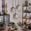 Apedo Hängeleuchte Glas 20cm Klar, Rauchfarben, 3-flammig