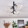 Chehalis Deckenleuchte Glas 12 cm Klar, 5-flammig Chehalis Deckenleuchte Glas 12 cm Klar, 5-flammig
