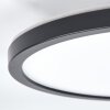 Pawcatuck Einbauleuchte LED Schwarz, Weiß, 1-flammig
