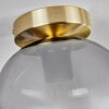 Apedo Deckenleuchte Glas 20 cm Messing, 1-flammig