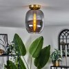 Apedo Deckenleuchte Glas 20 cm Messing, 1-flammig