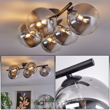 Chehalis Deckenleuchte Glas 15 cm Klar, Rauchfarben, 5-flammig