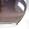 Apedo Deckenleuchte Glas 20 cm Rauchfarben, 1-flammig