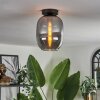 Apedo Deckenleuchte Glas 20 cm Rauchfarben, 1-flammig
