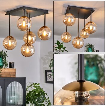 Chehalis Deckenleuchte Glas 12 cm Gold, Schwarz, 5-flammig Chehalis Deckenleuchte Glas 12 cm Gold, Schwarz, 5-flammig