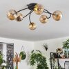 Chehalis Deckenleuchte Glas 15 cm Gold, Schwarz, 6-flammig