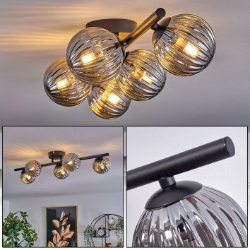 Chehalis Deckenleuchte Glas 10 cm Rauchfarben, 5-flammig Chehalis Deckenleuchte Glas 10 cm Rauchfarben, 5-flammig