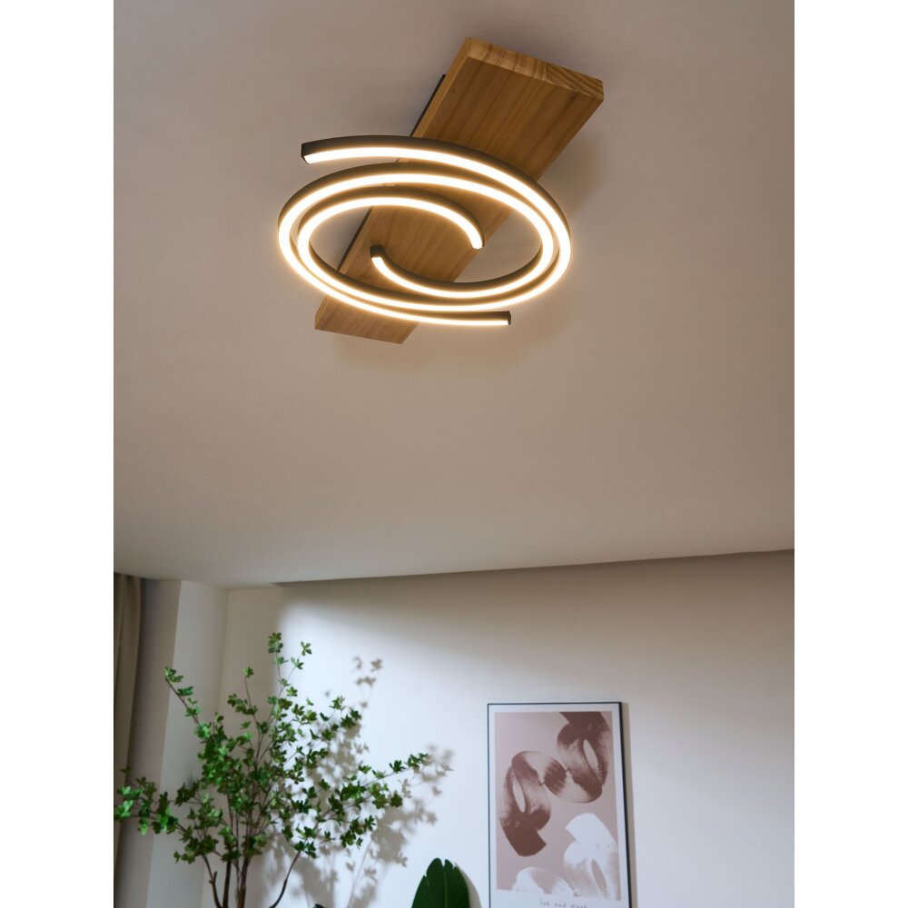 Lutec Rifia Deckenleuchte LED Naturfarben, Schwarz, 1-flammig main product photo