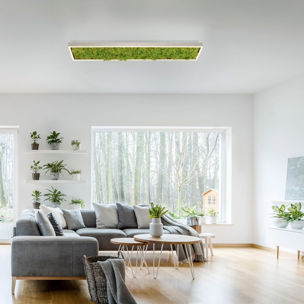 Leuchten Direkt GREEN KNUT Deckenleuchte LED Silber, 1-flammig main product photo