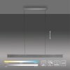 Paul Neuhaus NANIA Pendelleuchte LED Grau, 1-flammig