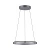 Paul Neuhaus PURE E-LOOP Pendelleuchte LED Grau, 2-flammig, Fernbedienung