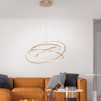 Paul Neuhaus TESSARA Pendelleuchte LED Gold, 1-flammig, Fernbedienung