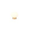 Reality EARL Tischleuchte LED Messing, 1-flammig