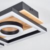 Taboneira Deckenleuchte LED Naturfarben, Schwarz, 2-flammig