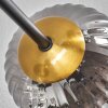 Chehalis Deckenleuchte Glas 12 cm, 15 cm Gold, Schwarz, 6-flammig
