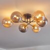 Chehalis Deckenleuchte Glas 15 cm Gold, Schwarz, 6-flammig