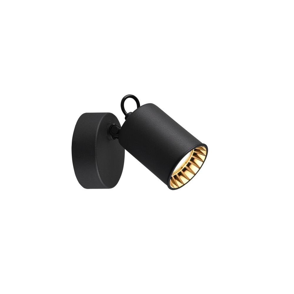 Trio Leuchten PAGO Strahler Schwarz, 1-flammig main product photo