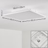 Barasat Deckenpanel LED Weiß, 1-flammig