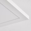 Barasat Deckenpanel LED Weiß, 1-flammig