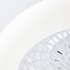 Brilliant Salerno Deckenleuchte LED Weiß, 1-flammig, Fernbedienung