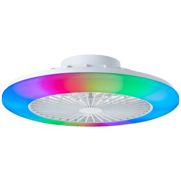 Brilliant Salerno Deckenleuchte LED Weiß, 1-flammig, Fernbedienung