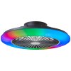 Brilliant Salerno Deckenventilator LED Schwarz, 1-flammig, Fernbedienung