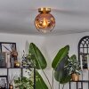 Ripoll Deckenleuchte Glas 20 cm Gold, Schwarz, 1-flammig