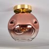 Ripoll Deckenleuchte Glas 20 cm Gold, Schwarz, 1-flammig