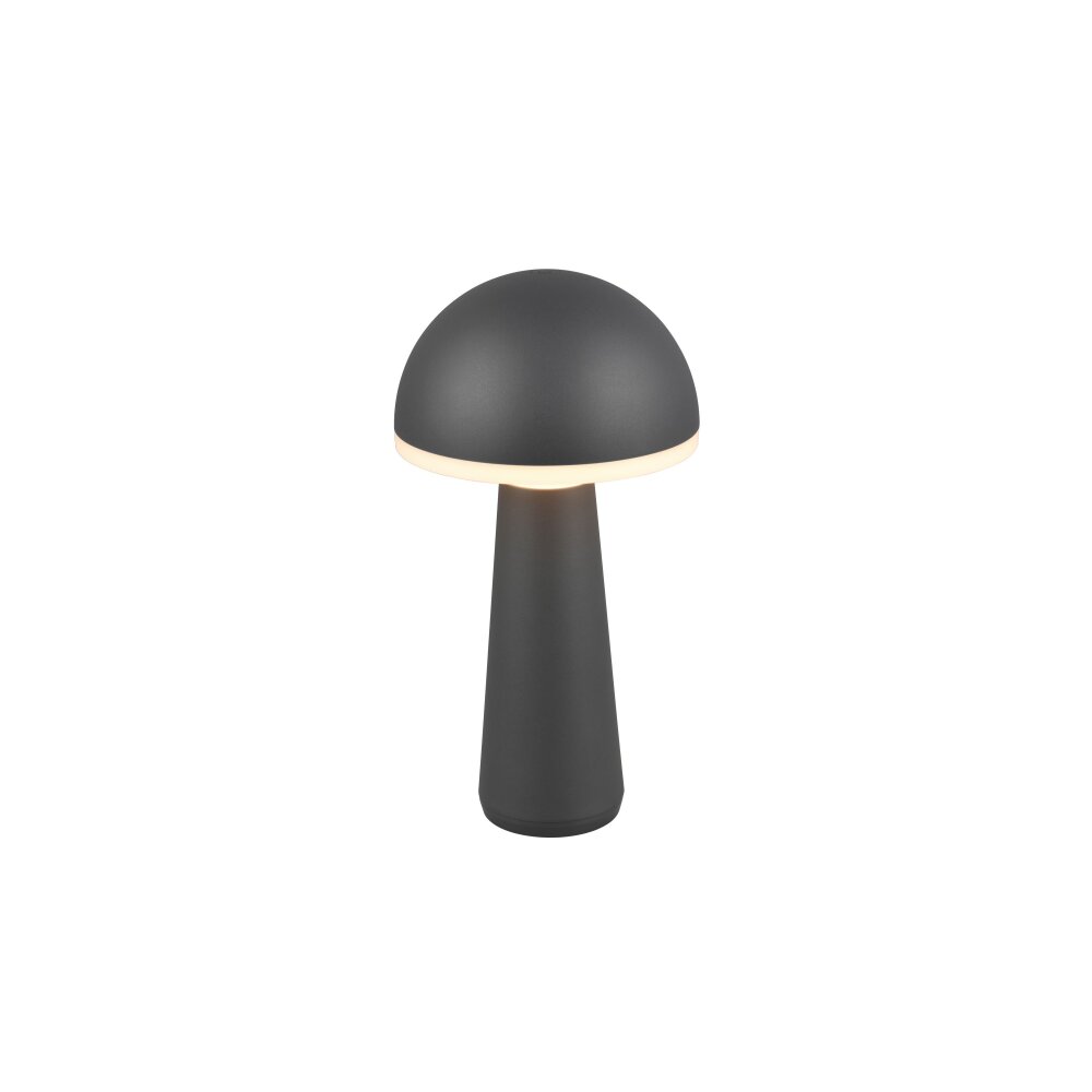 Reality FUNGO Tischleuchte LED Anthrazit, 1-flammig main product photo
