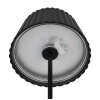 Reality SUAREZ Stehlampe LED Schwarz, 1-flammig