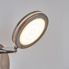 Sarnadinha Wandleuchte LED Nickel-Matt, 1-flammig